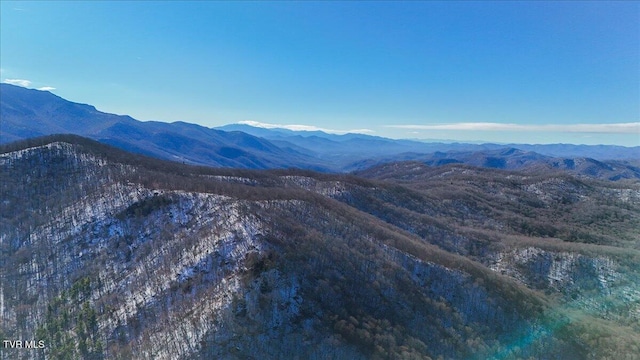 1255 Tiger Creek Rd, Roan Mountain, TN 37687 - photo 10