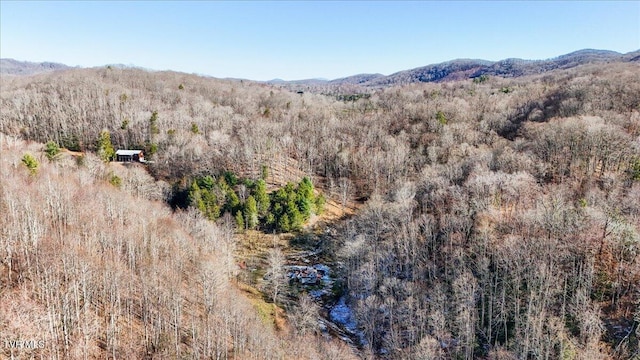 1255 Tiger Creek Rd, Roan Mountain, TN 37687 - photo 5
