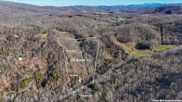 1255 Tiger Creek Rd, Roan Mountain, TN 37687 - photo 1