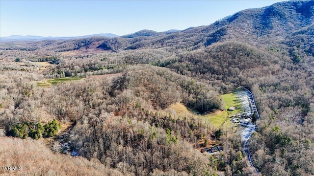 Listing photo 3 for 1255 Tiger Creek Rd, Roan Mountain TN 37687