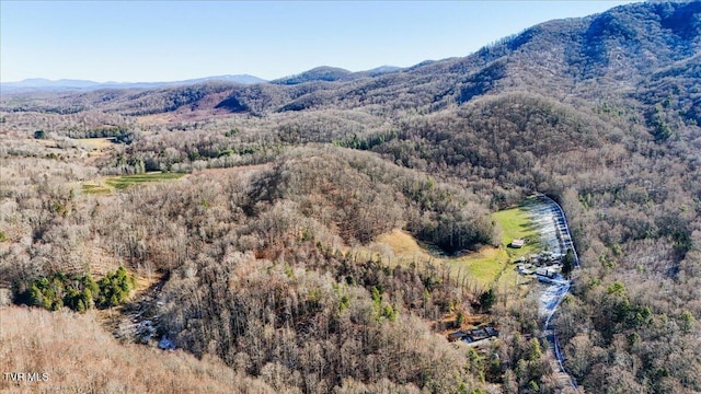 1255 Tiger Creek Rd, Roan Mountain, TN 37687 - photo 3