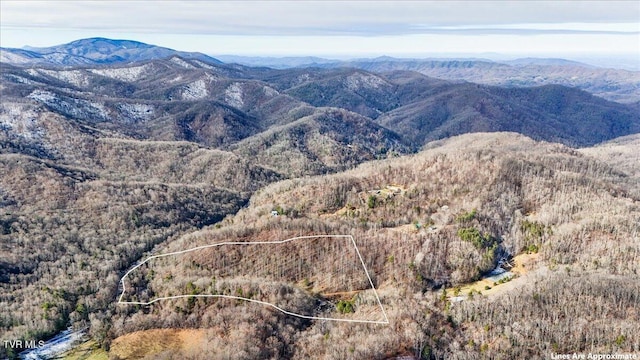 1255 Tiger Creek Rd, Roan Mountain, TN 37687 - photo 2