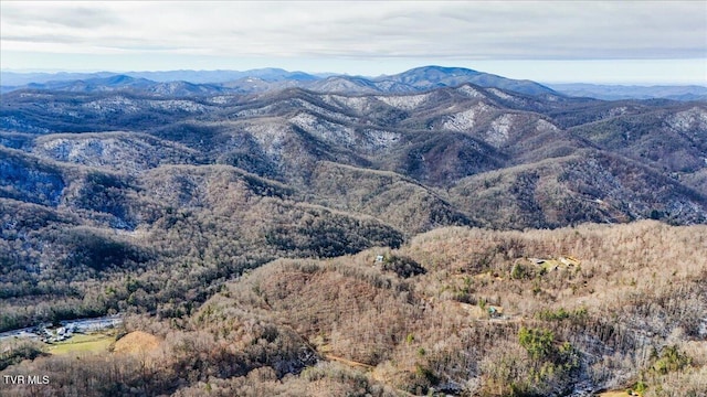 1255 Tiger Creek Rd, Roan Mountain, TN 37687 - photo 9