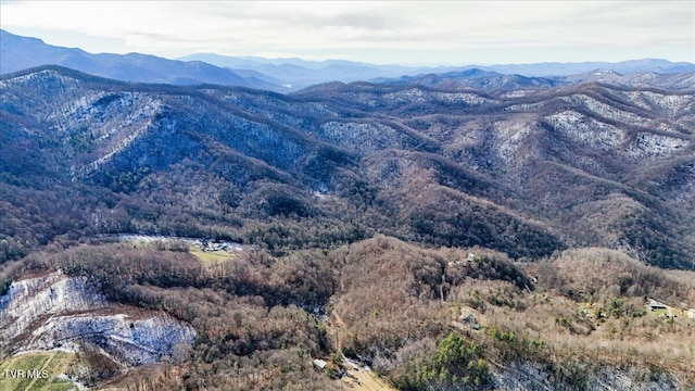 1255 Tiger Creek Rd, Roan Mountain, TN 37687 - photo 8