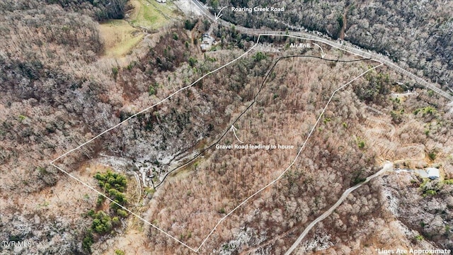 1255 Tiger Creek Rd, Roan Mountain, TN 37687 - photo 4