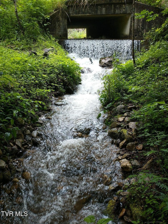 1255 Tiger Creek Rd, Roan Mountain, TN 37687 - photo 25