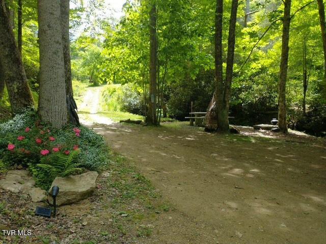 1255 Tiger Creek Rd, Roan Mountain, TN 37687 - photo 26
