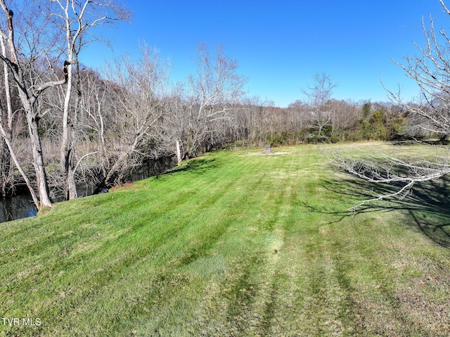 view of yard featuring a water view