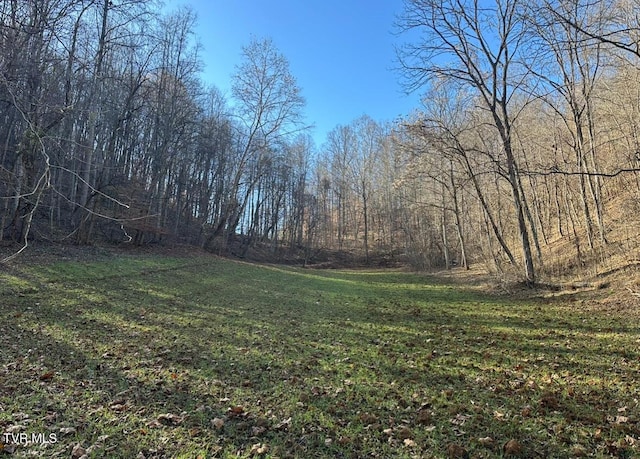 Listing photo 3 for TBD Lick Creek Dr, Fort Blackmore VA 24250