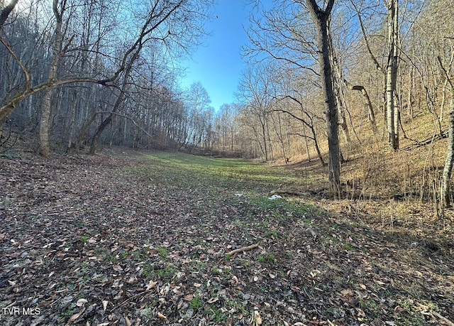 TBD Lick Creek Dr, Fort Blackmore VA, 24250 land for sale