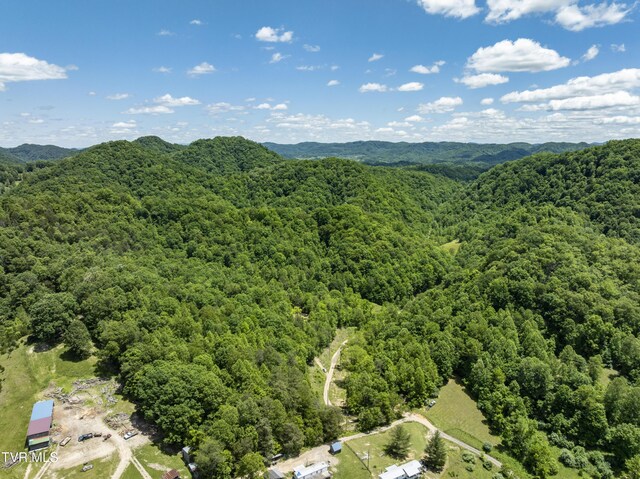 TBD Lick Creek Dr, Fort Blackmore, VA 24250