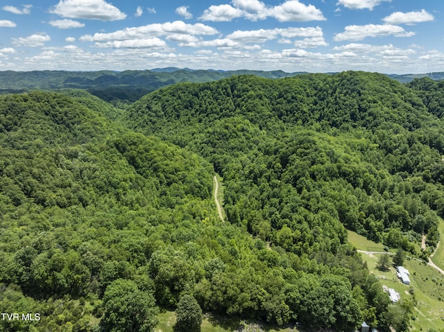 TBD Lick Creek Dr, Fort Blackmore, VA 24250