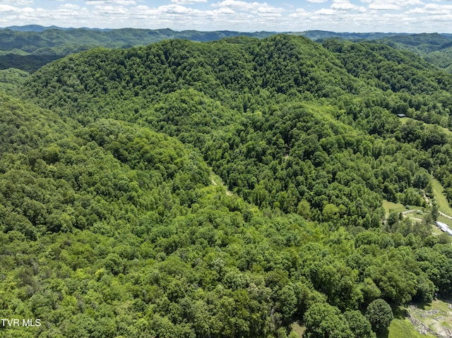 TBD Lick Creek Dr, Fort Blackmore, VA 24250