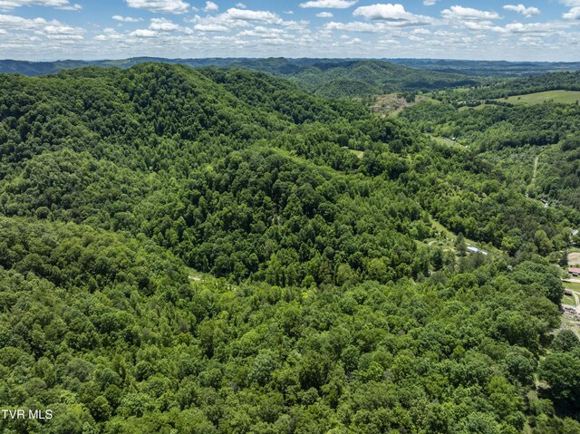 TBD Lick Creek Dr, Fort Blackmore, VA 24250