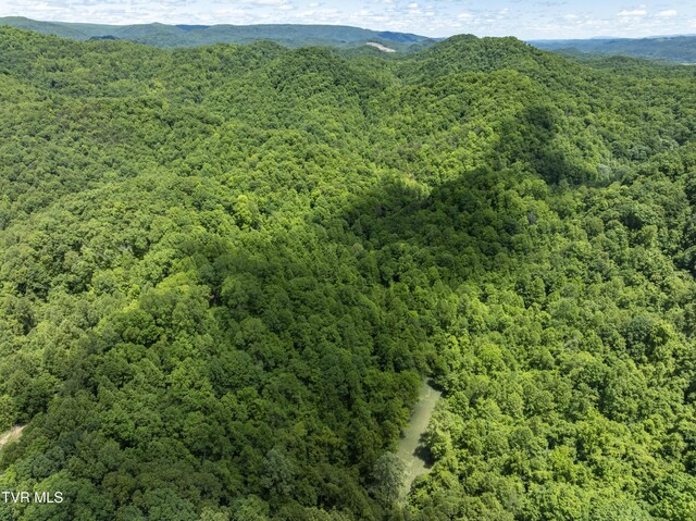 TBD Lick Creek Dr, Fort Blackmore, VA 24250