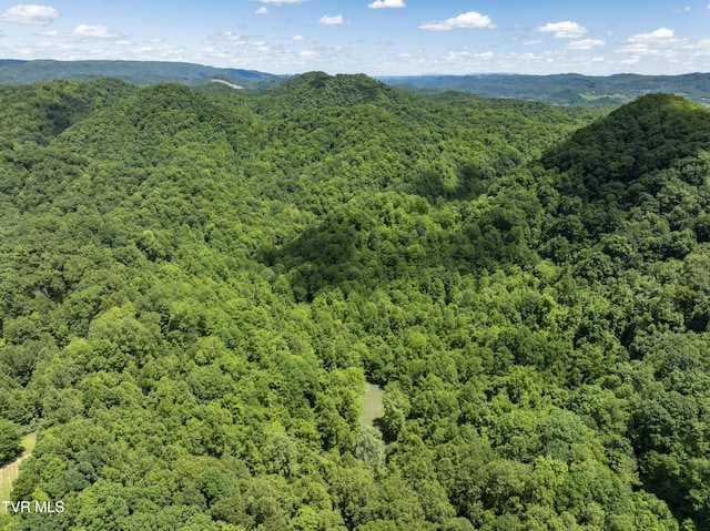 TBD Lick Creek Dr, Fort Blackmore, VA 24250