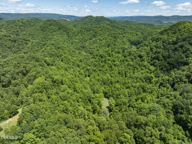 TBD Lick Creek Dr, Fort Blackmore, VA 24250