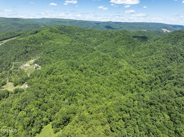 TBD Lick Creek Dr, Fort Blackmore, VA 24250