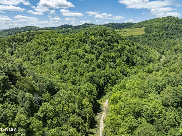TBD Lick Creek Dr, Fort Blackmore, VA 24250