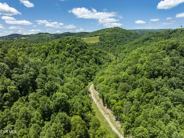 TBD Lick Creek Dr, Fort Blackmore, VA 24250