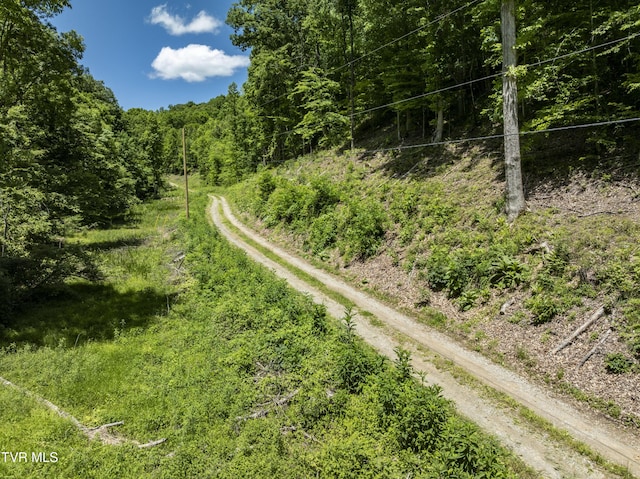 TBD Lick Creek Dr, Fort Blackmore, VA 24250
