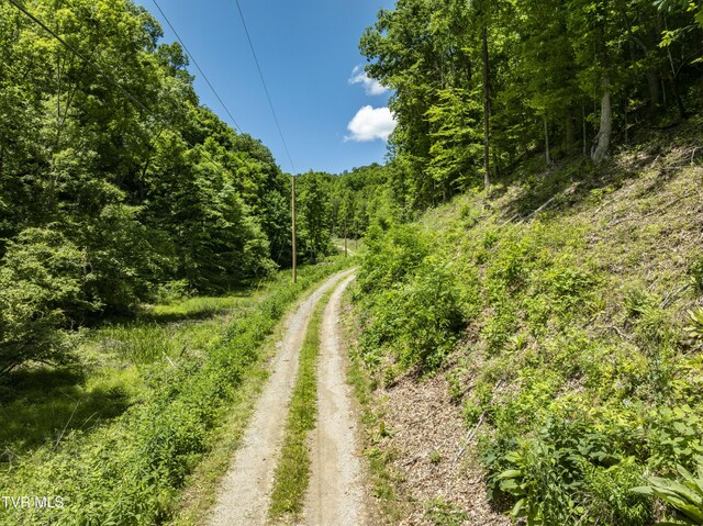 TBD Lick Creek Dr, Fort Blackmore, VA 24250