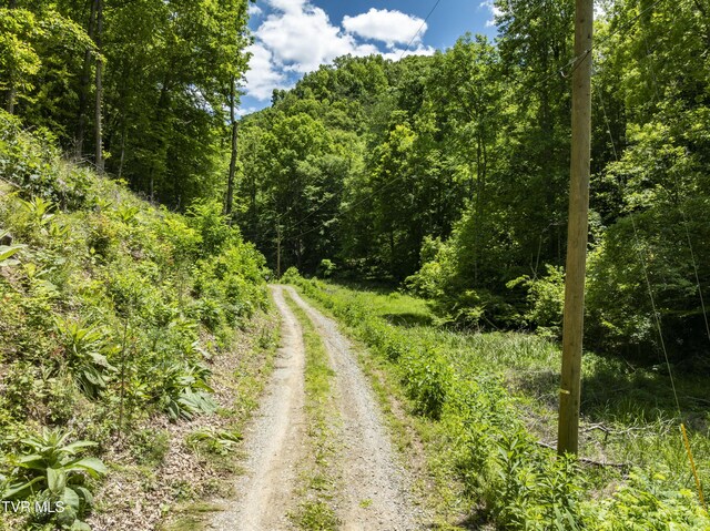 TBD Lick Creek Dr, Fort Blackmore, VA 24250