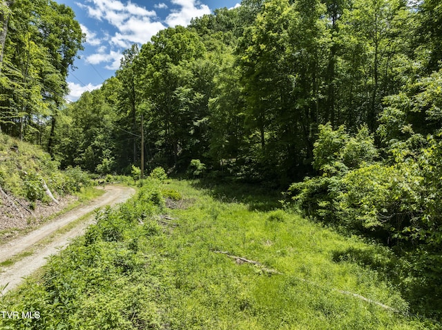 TBD Lick Creek Dr, Fort Blackmore, VA 24250