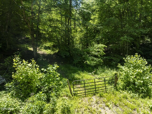 TBD Lick Creek Dr, Fort Blackmore, VA 24250