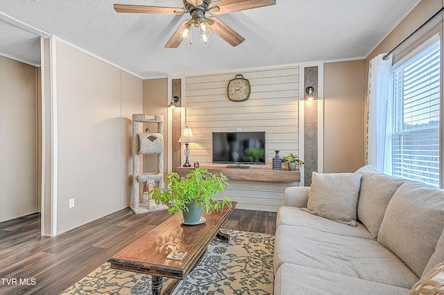 living room featuring ceiling fan, a healthy amount of sunlight, dark hardwood / wood-style floors, and a textured ceiling