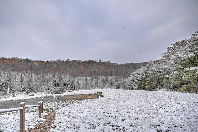 view of mountain feature