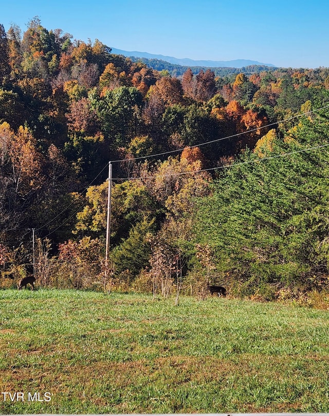 property view of mountains