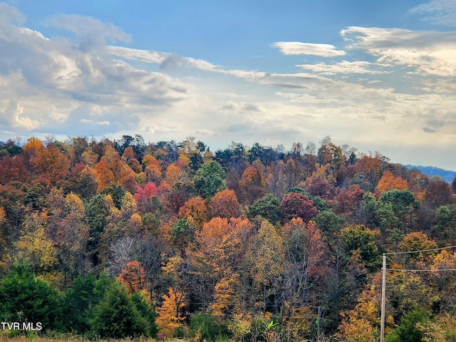 view of mountain feature