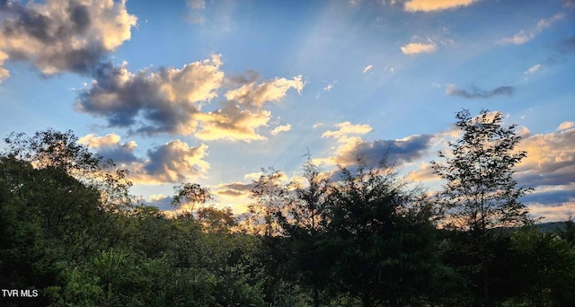 view of nature at dusk