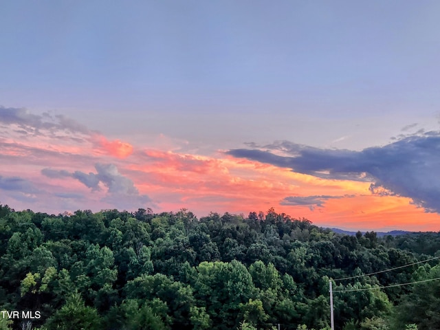 view of nature at dusk