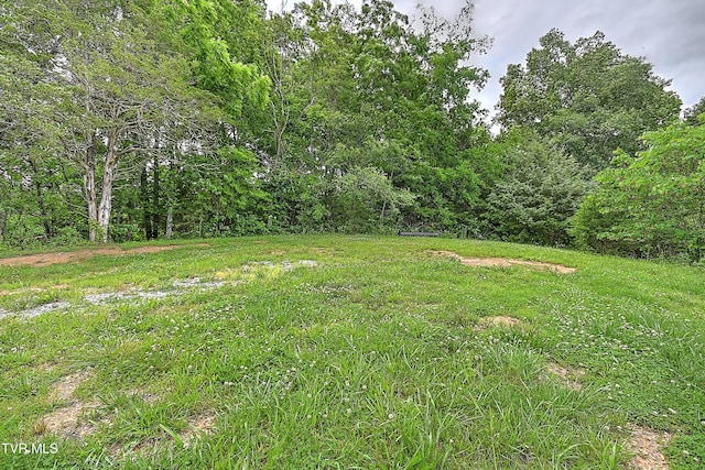 290 Smith Hollow Rd, Greeneville, TN 37743 - photo 32