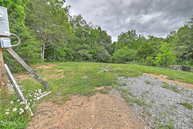 290 Smith Hollow Rd, Greeneville, TN 37743 - photo 33