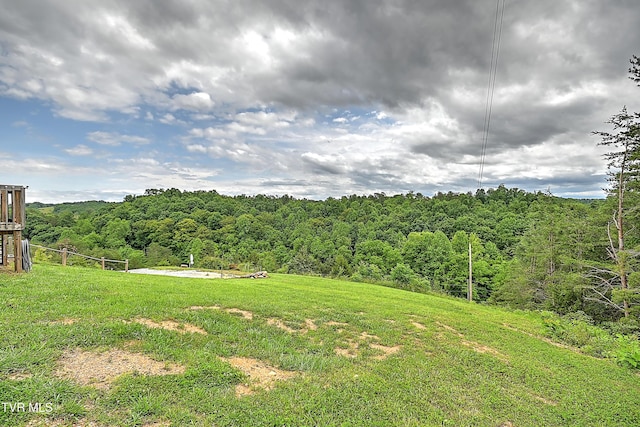 290 Smith Hollow Rd, Greeneville, TN 37743 - photo 34