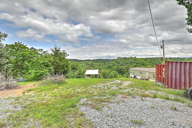 290 Smith Hollow Rd, Greeneville, TN 37743 - photo 36