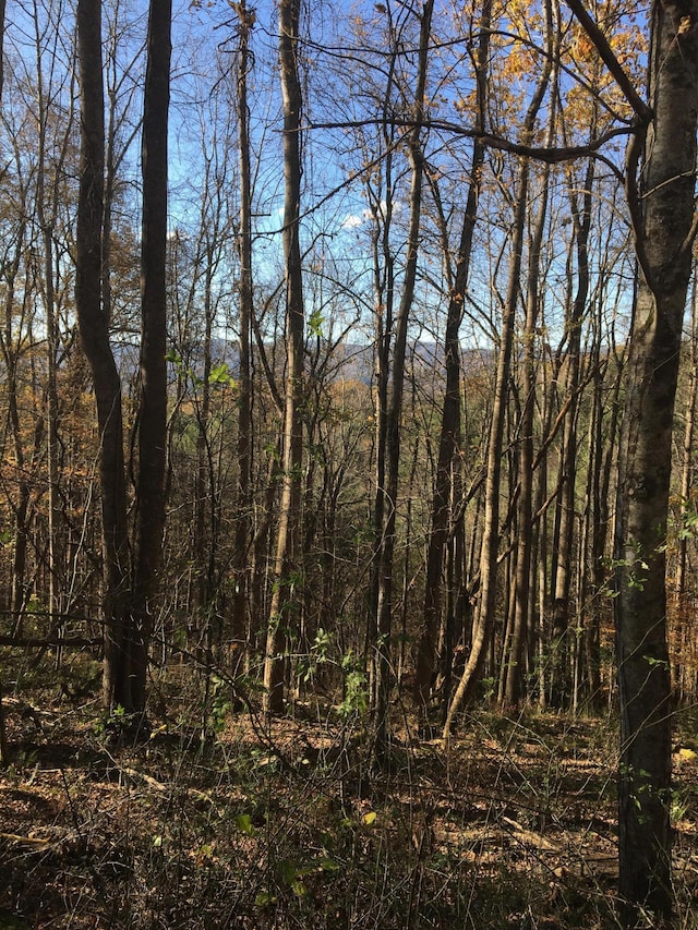 Listing photo 2 for TBD000 Pinecrest St, Mountain City TN 37683