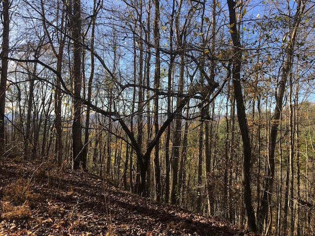 Listing photo 3 for TBD000 Pinecrest St, Mountain City TN 37683