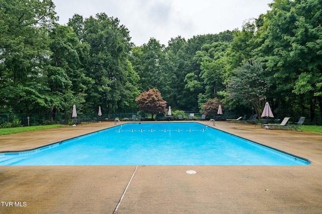 view of swimming pool featuring a patio