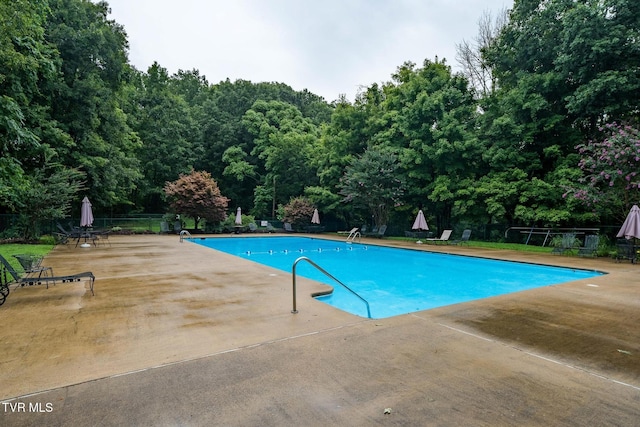 view of pool with a patio area