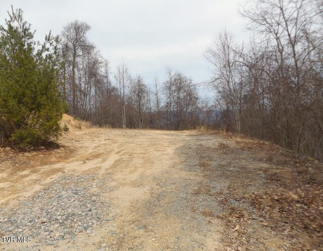 1012 Locust Ln, Butler, TN 37640