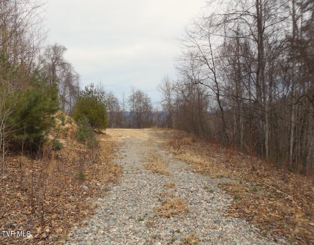 1012 Locust Ln, Butler, TN 37640