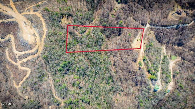 1012 Locust Ln, Butler, TN 37640