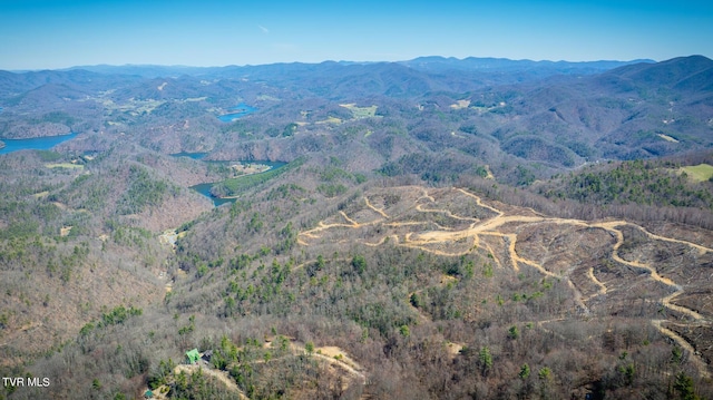 1012 Locust Ln, Butler, TN 37640