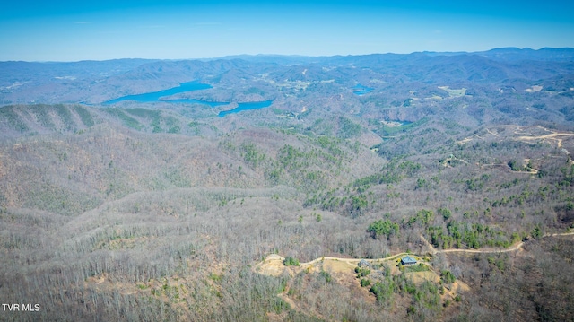 1012 Locust Ln, Butler, TN 37640