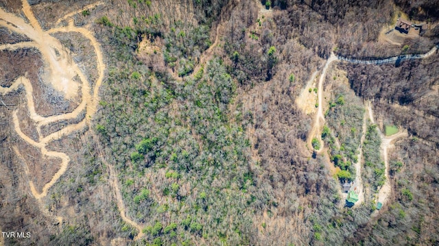 1012 Locust Ln, Butler, TN 37640