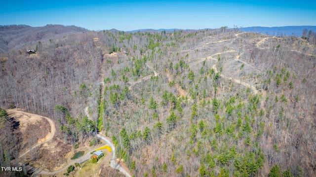 702 Heartwood Ln, Butler, TN 37640